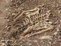 Diyarbakır'daki kazıda İnsan Kemikleri Çıktı