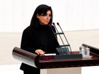 Zana 'Türk milleti' yerine 'Türkiye milleti' dedi