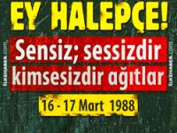 Halepçe:  O gün Ebabil kuşları da öldü...