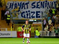 Fenerbahçe, Gençlerbirliği'ni ezdi geçti