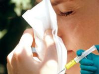 Grip Aşısı Domuz Gribinde Etkili mi?