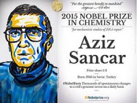 HDP'li Mithat Sancar'dan 'Aziz Sancar' açıklaması