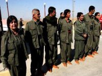 Teslim olan 29 PKK'lı serbest bırakıldı