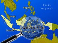 Endonezya 7,3'le Sallandı