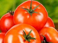 Rusya, Türkiye’den giden tonlarca domatesi geri çevirdi