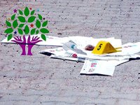 HDP'den YSK'ye Suruç başvurusu