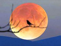 21. yüzyılın en uzun 'Kanlı Ay' tutulması cuma günü