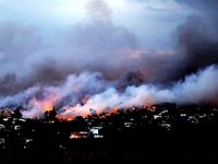Yunanistan'daki yangında ölü sayısı artıyor