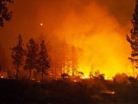 California'daki yangınlar 50 bin kişiyi evinden etti