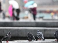 Meteorolojiden kuvvetli yağış uyarısı