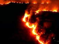 Brezilya'da Amazon yangınları için ordu devrede