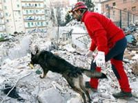 Dünya, depremi İstanbul'da konuşacak