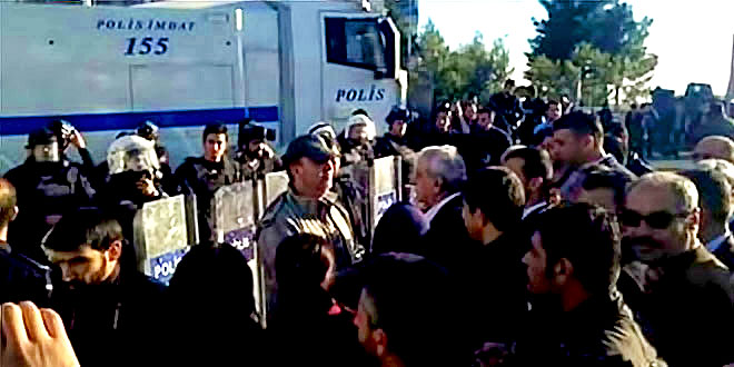 11-003.jpg 11-003.jpg