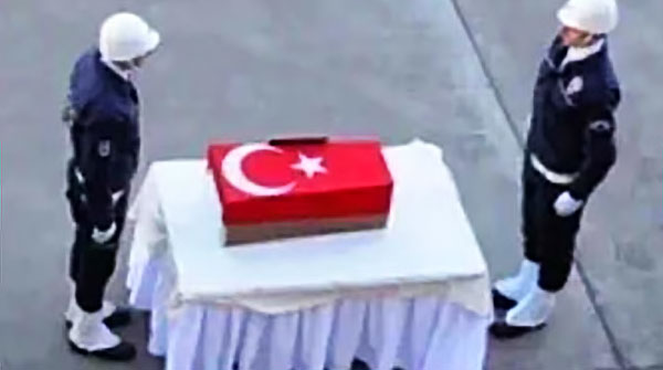 600-029.jpg 600-029.jpg