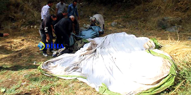 6301-001.jpg 6301-001.jpg