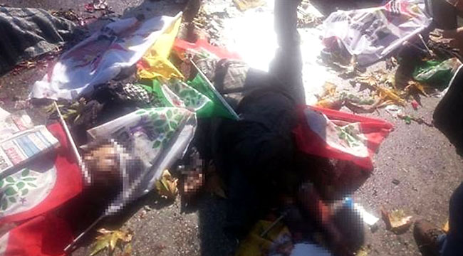 650-030.jpg 650-030.jpg