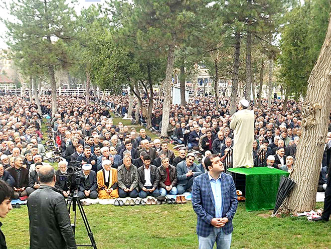 6602-006.jpg 6602-006.jpg