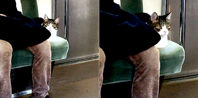 6701-010.jpg 6701-010.jpg