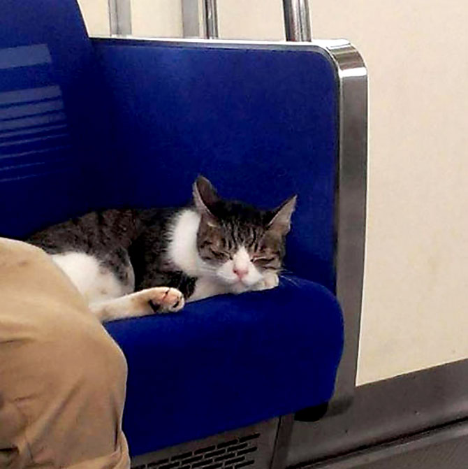 6702-021.jpg 6702-021.jpg