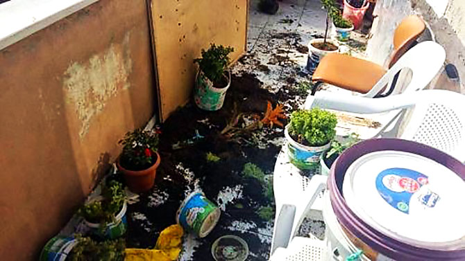 6703-015.jpg 6703-015.jpg