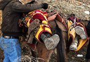 Uludere Katliamı - 29 Aralık 2011